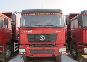 陕汽 德龙F2000重卡 385马力 8X4 自卸车(SX3315NT366C)